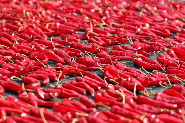 pepper, chili pepper, spice, vegetable, vegetables, kimchi, spicy, plant, sauce, autumn, fruit, dry, nature, sort, food, farming, republic of korea, korea, red